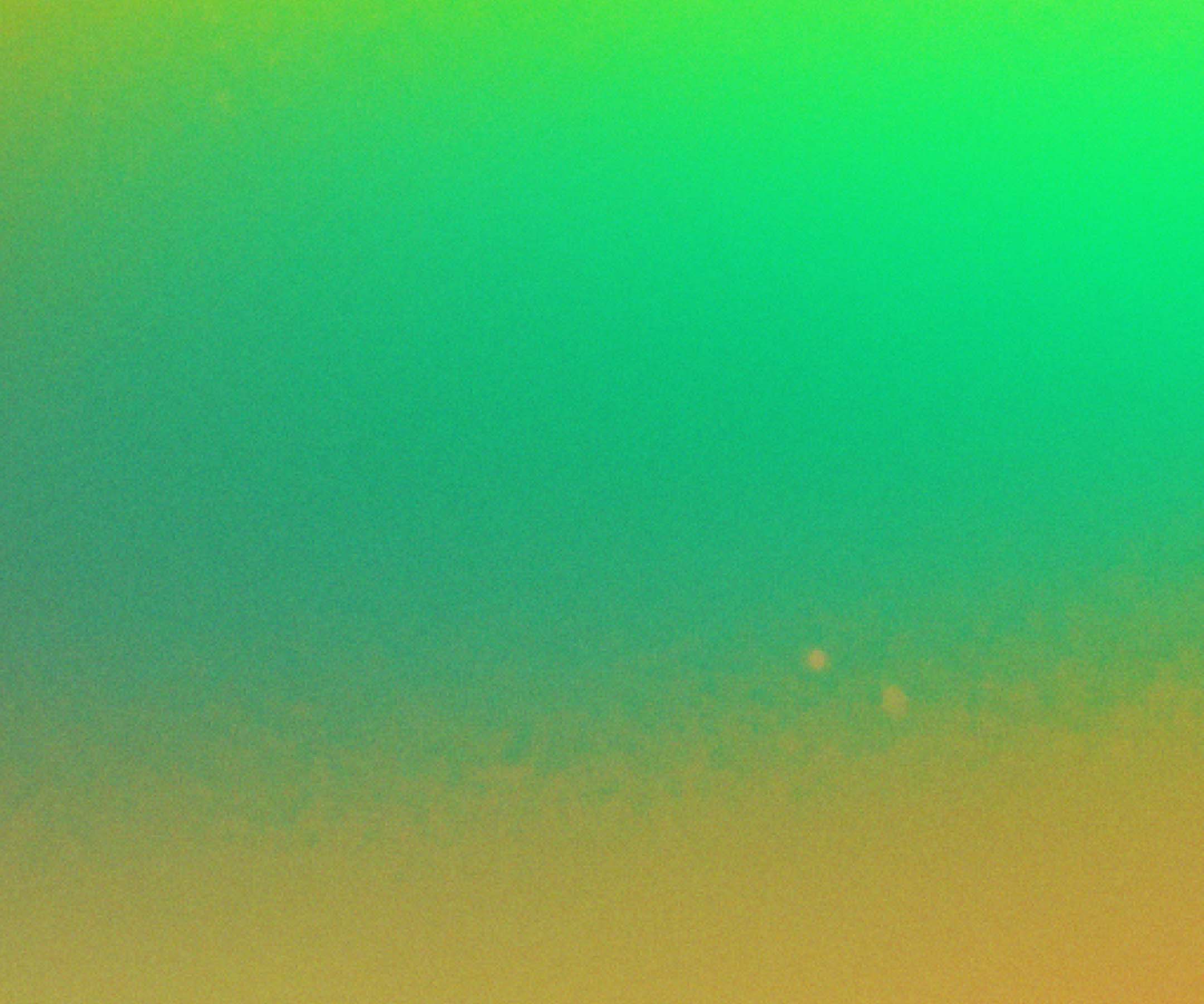 Colorful decorative background, green.