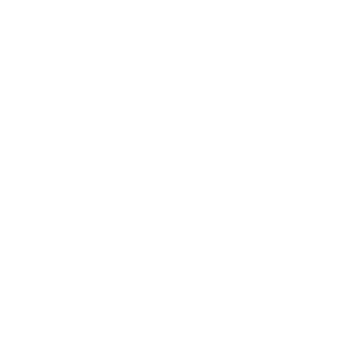 BMW | Diamond Auto Restoration