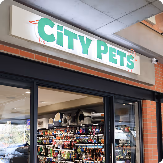 A group of happy pet owners giving a thumbs-up to City Pets.
