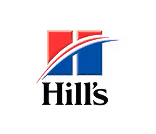 The City Pets logo on a stylish, modern background.

