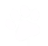 A person's hand holding a bag of treats from the City Pets brand.