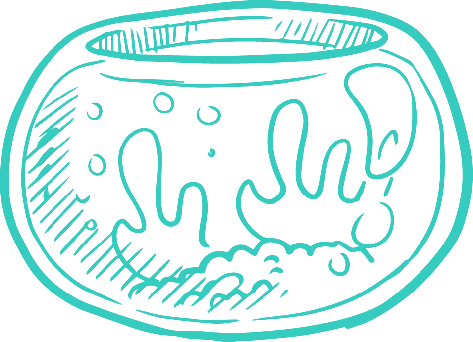 A detailed image of the stitching and quality of a City Pets leash.