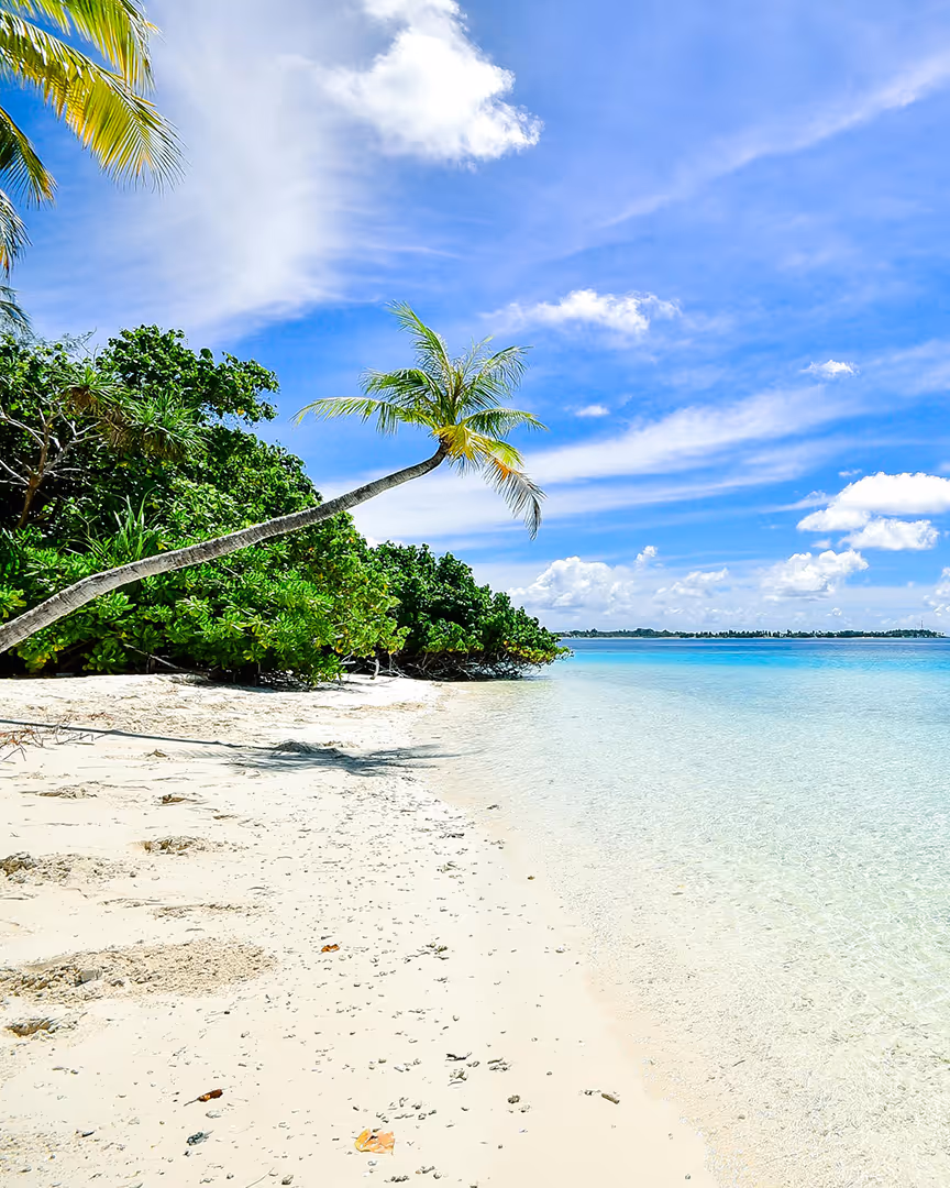 Beach in the Maldives