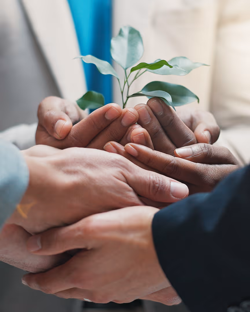 Team holding a growing plant, representing new economic markets