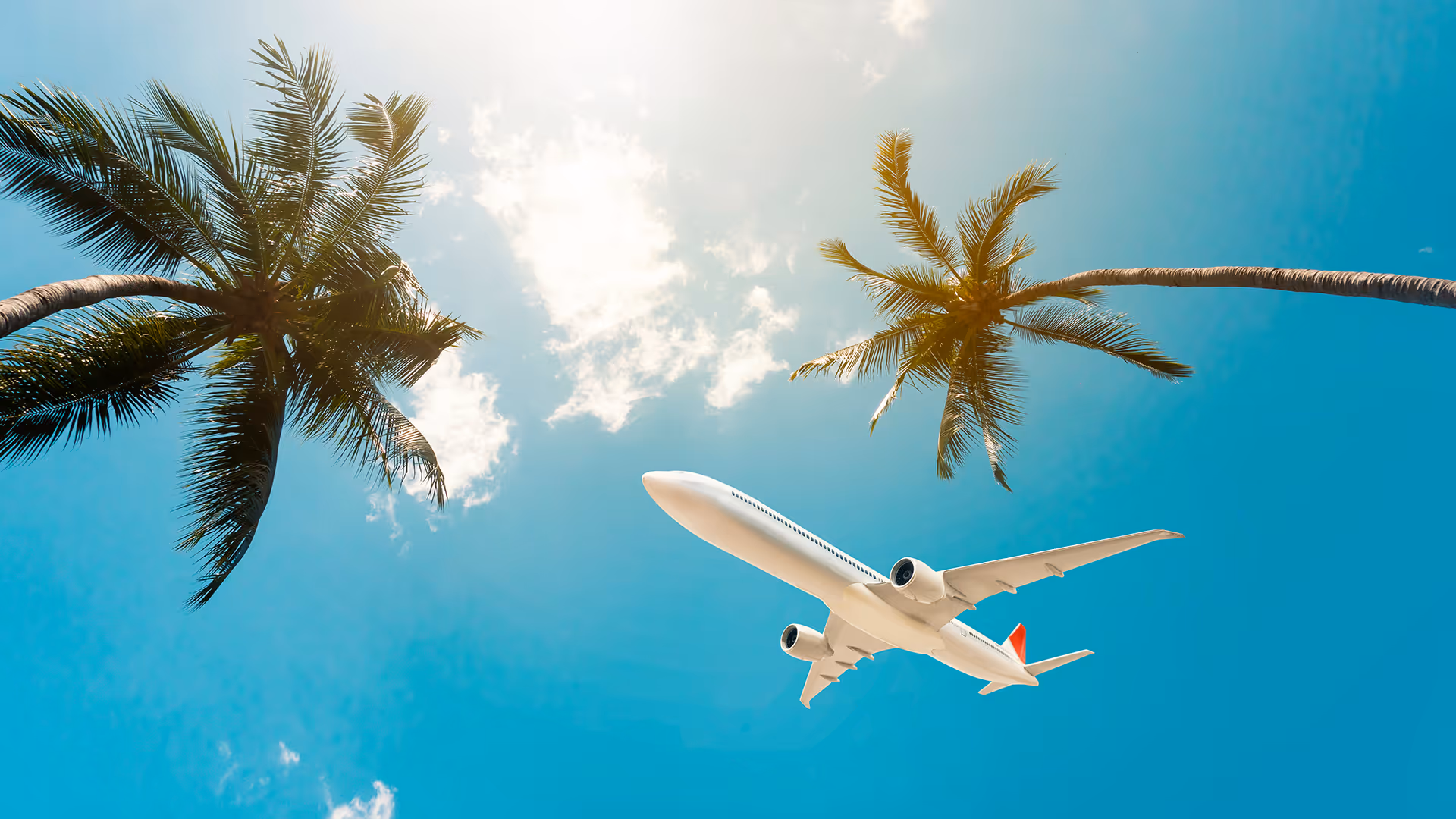 Plane flying over palm trees, representing travel focus