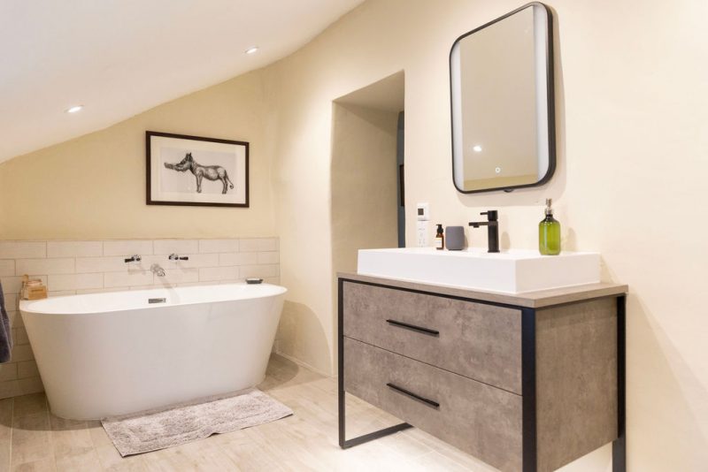 Modern wellness retreat bathroom with freestanding white bathtub, wall-mounted faucet, framed animal artwork, and concrete vanity with rectangular sink and mirror.