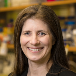 TULLMAN-ERCEK Danielle