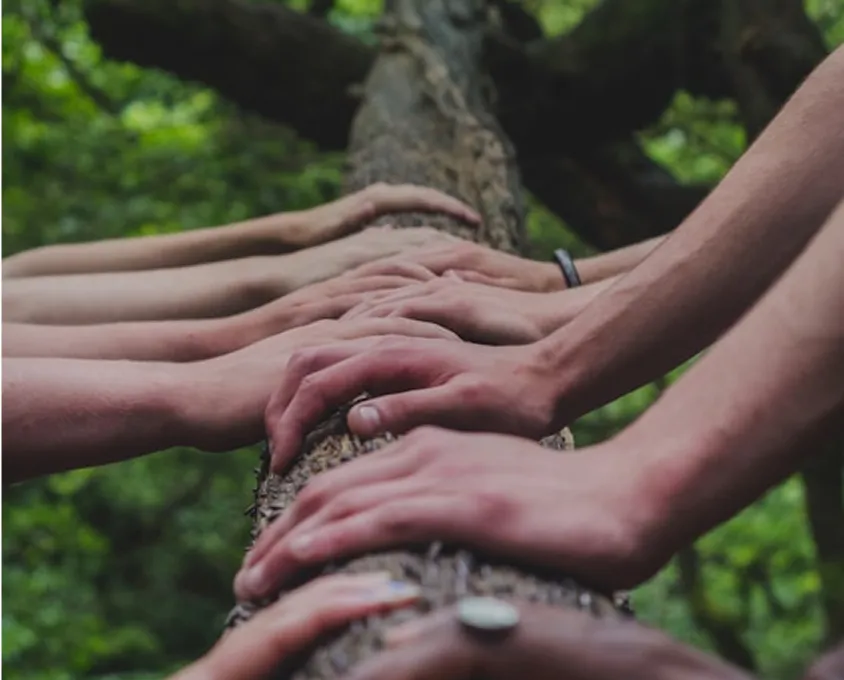 Nature and people hands