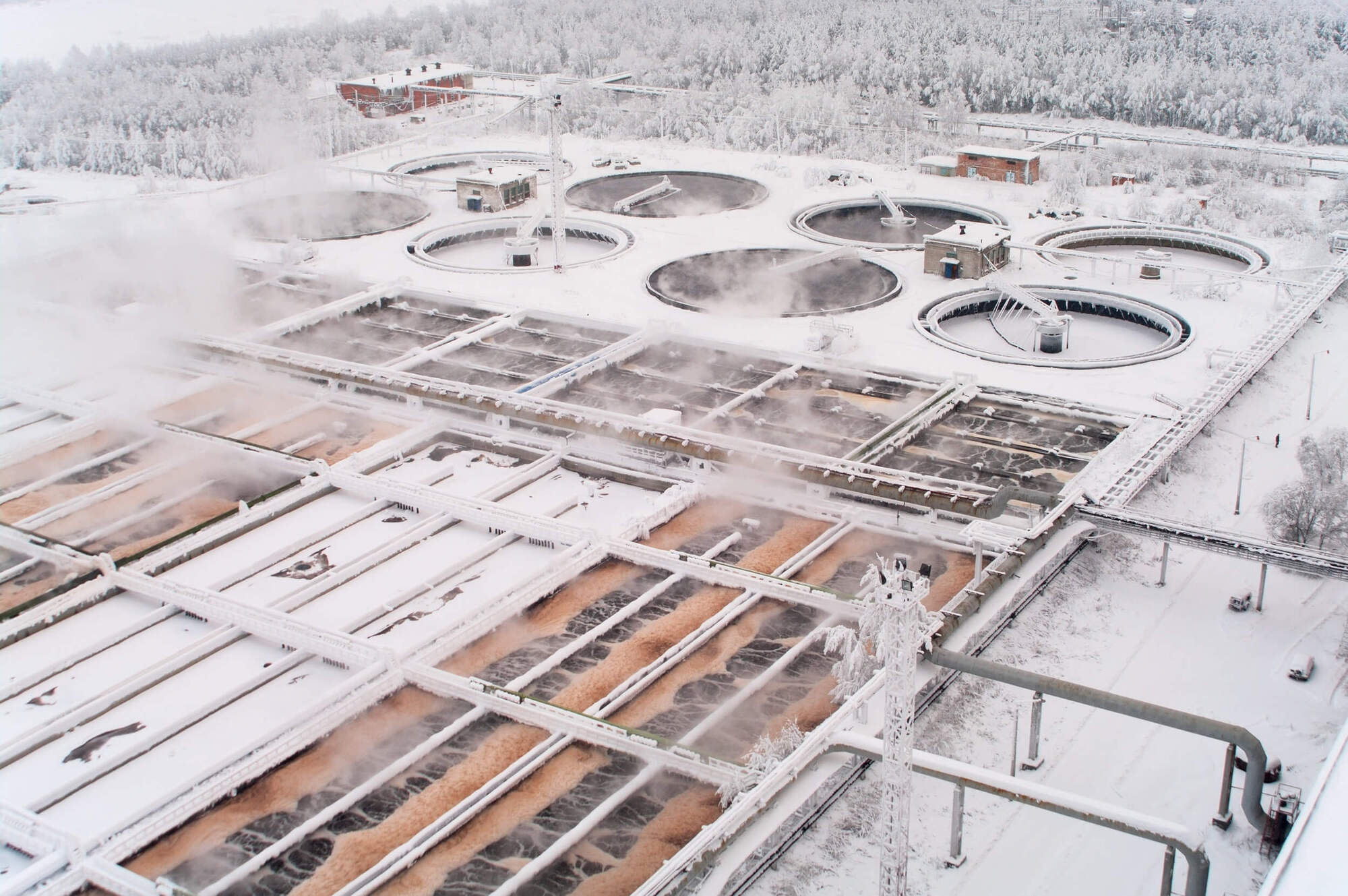 Low Temperature (LT) Microbes