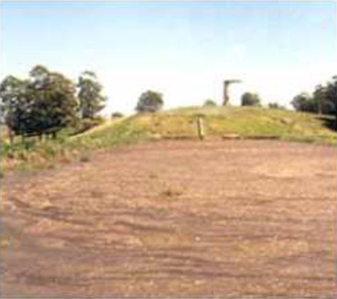 Before treatment, the waste lagoon carried a heavy organic and oil load: BOD at 4,800 mg/L, COD at 6,000 mg/L, and oil and grease at 2,007 mg/L, with the water acidic at pH 5.8. Accumulated solids and grease had crusted over the surface, and under conventional methods the lagoon faced mechanical dredging or chemical treatment to recover.
