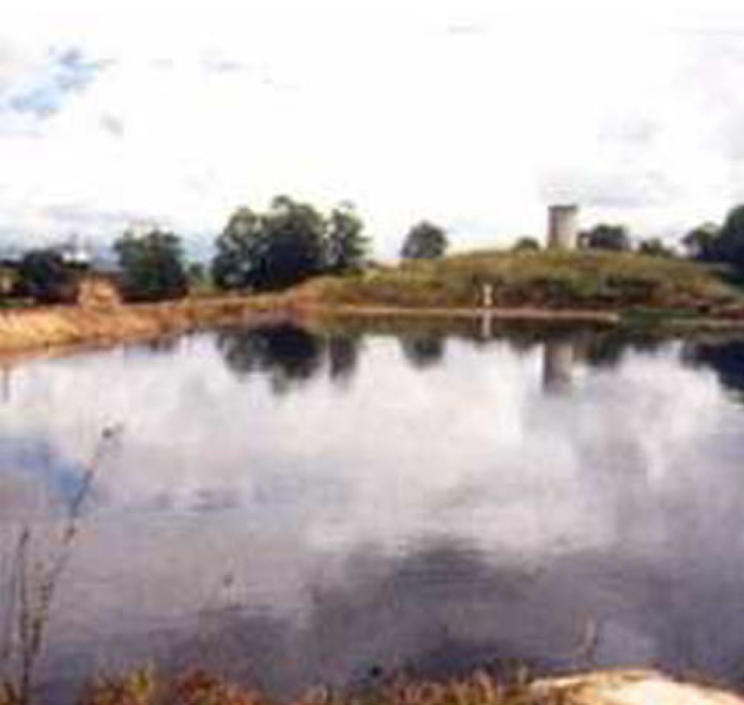 After two months of Wastewater Treat applied with proper aeration, the lagoon's key metrics fell sharply. BOD dropped from 4,800 to 642 mg/L (87% lower), COD from 6,000 to 1,000 mg/L (83% lower), and oil and grease from 2,007 to 21 mg/L (99% lower), while pH corrected from 5.8 to a near-neutral 7.1. The crusted surface cleared and open water was restored, with no mechanical dredging or toxic chemicals. For municipal and industrial operators managing waste lagoons, holding tanks, and treatment ponds with high BOD, COD, and oil and grease, this case shows what a facultatively anaerobic microbial blend can deliver on organic load and water quality.