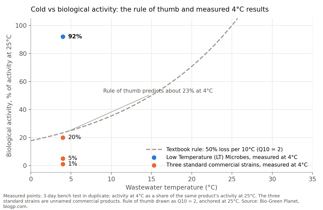 Chart: biological activity at 4°C as a share of 25°C activity. Low Temperature (LT) Microbes kept 92%; three standard commercial strains kept 1%, 5% and 20%; the Q10 = 2 rule of thumb predicts about 23%.