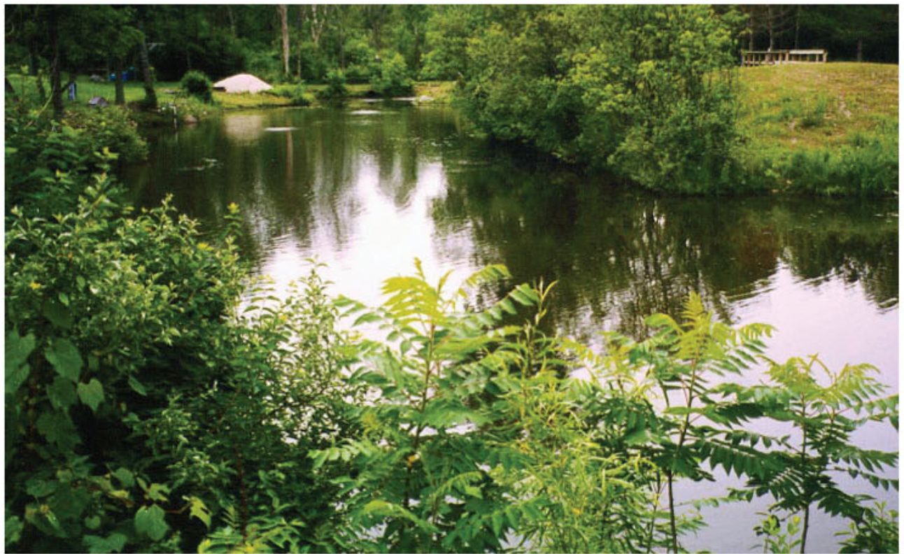 Wisconsin Pond Restoration: Algae and Odors Cleared in 2 Weeks with Pond Bacteria