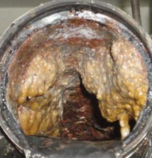 Day 9: after Grease Treat dosing, the FOG is softening and pulling off the pipe wall and the opening is visibly widening.