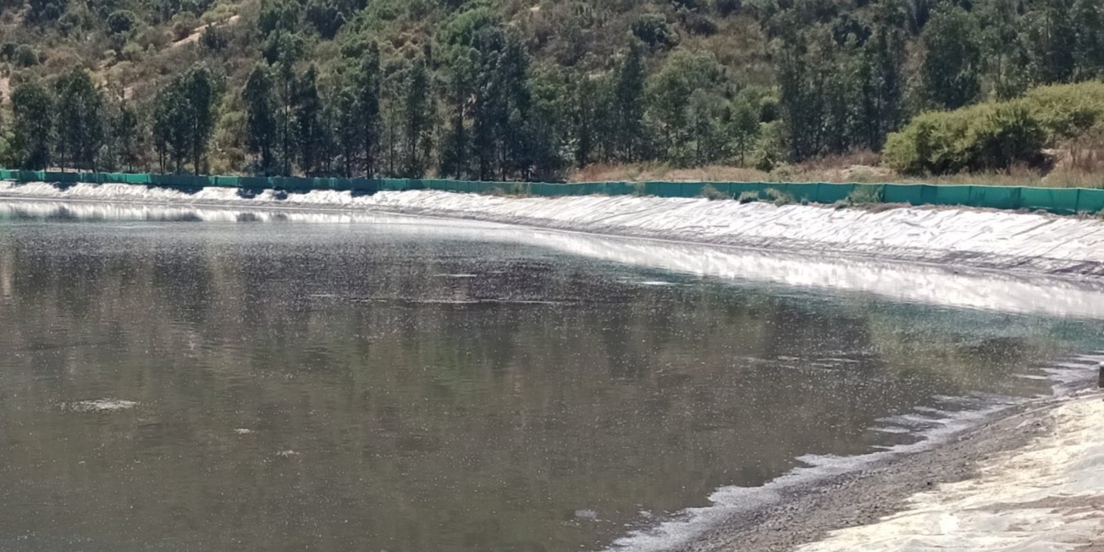 Laguna de estiércol porcino: 91% menos sólidos suspendidos totales y 85% menos fósforo en seis semanas con Pit Puck