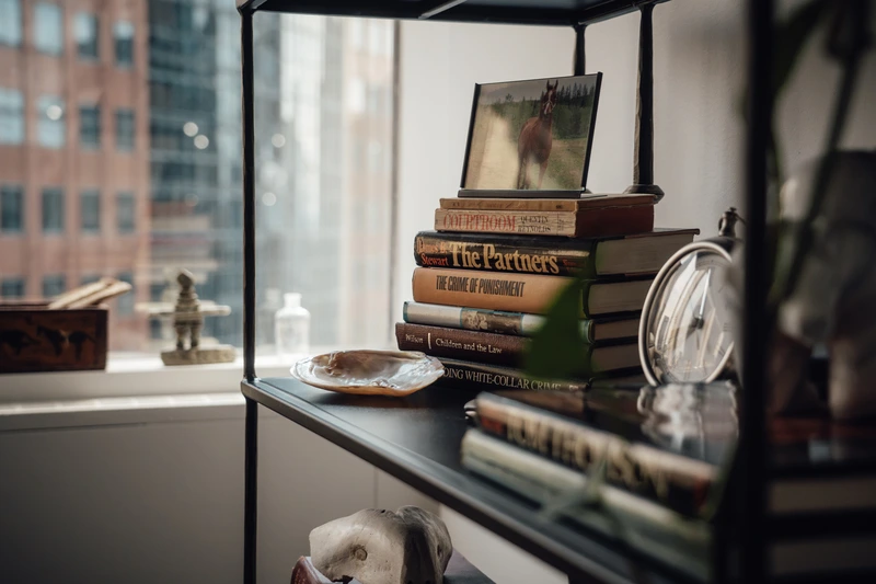 Shelf with stacked books, a photo frame showing a horse, a seashell dish, and a round clock near a window overlooking blurred city buildings.