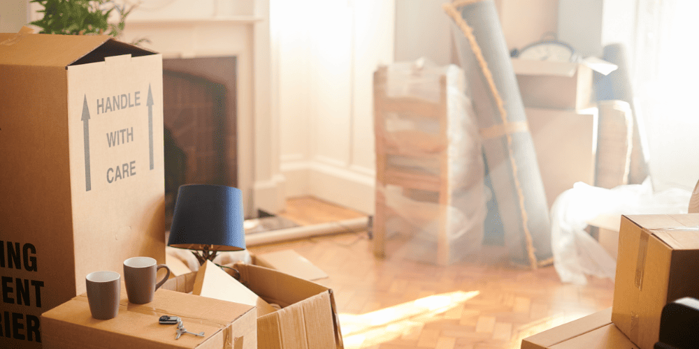 Labeled moving boxes stacked in a Lincoln Park living room