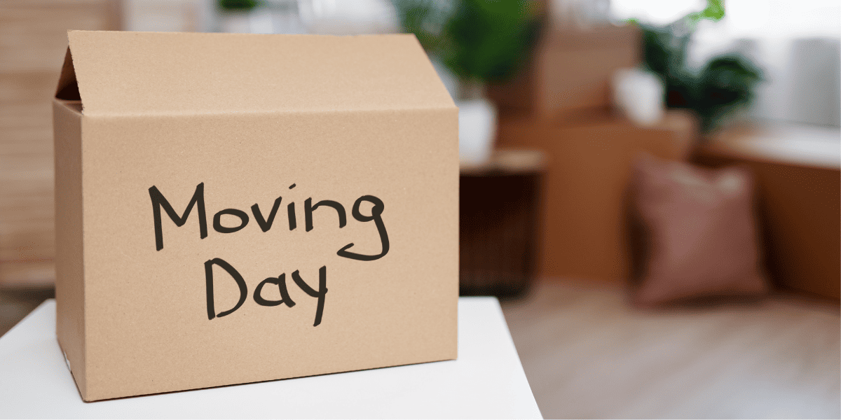 Chicago family packing boxes with professional movers helping