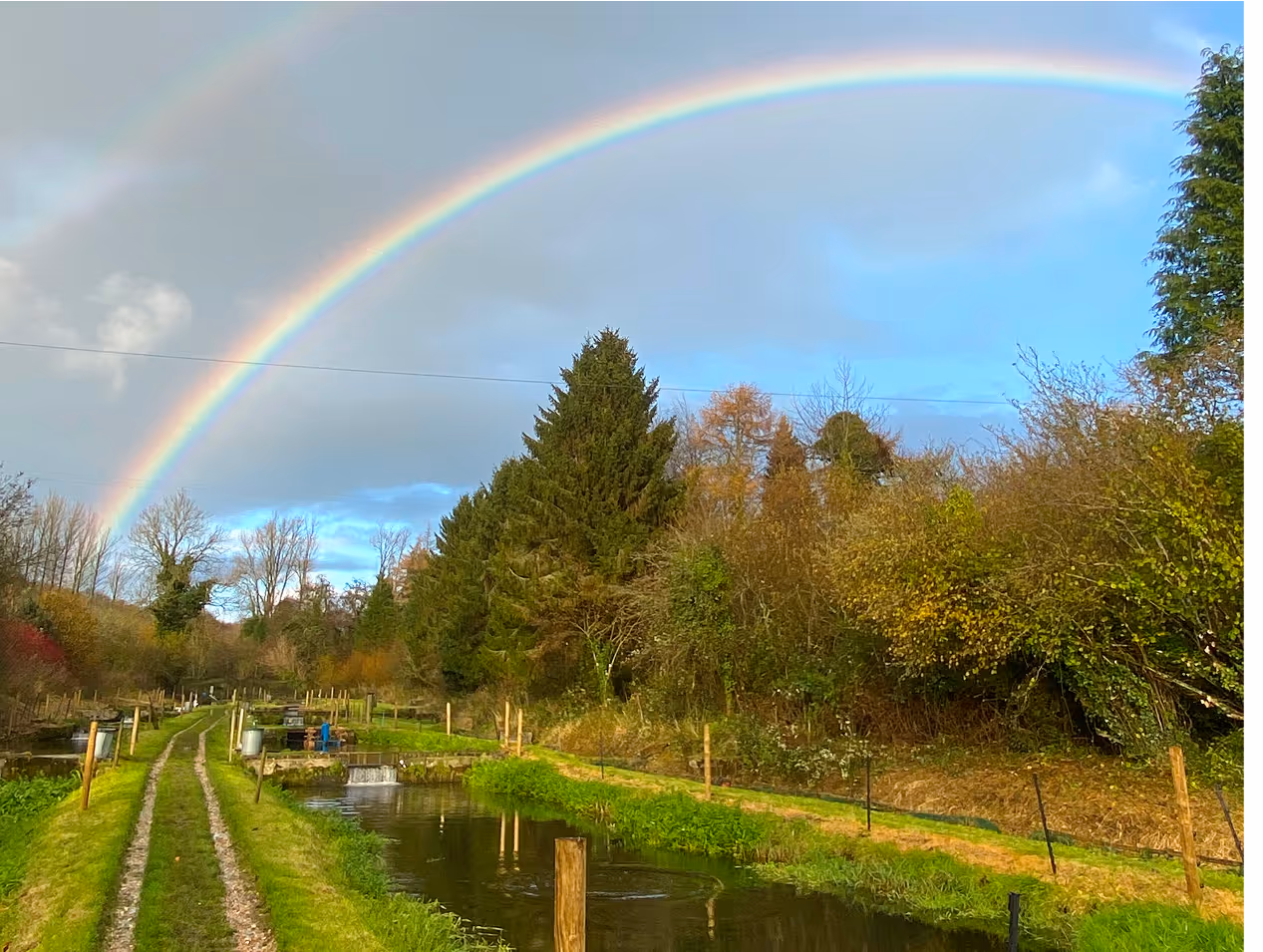 a rainbow over a river