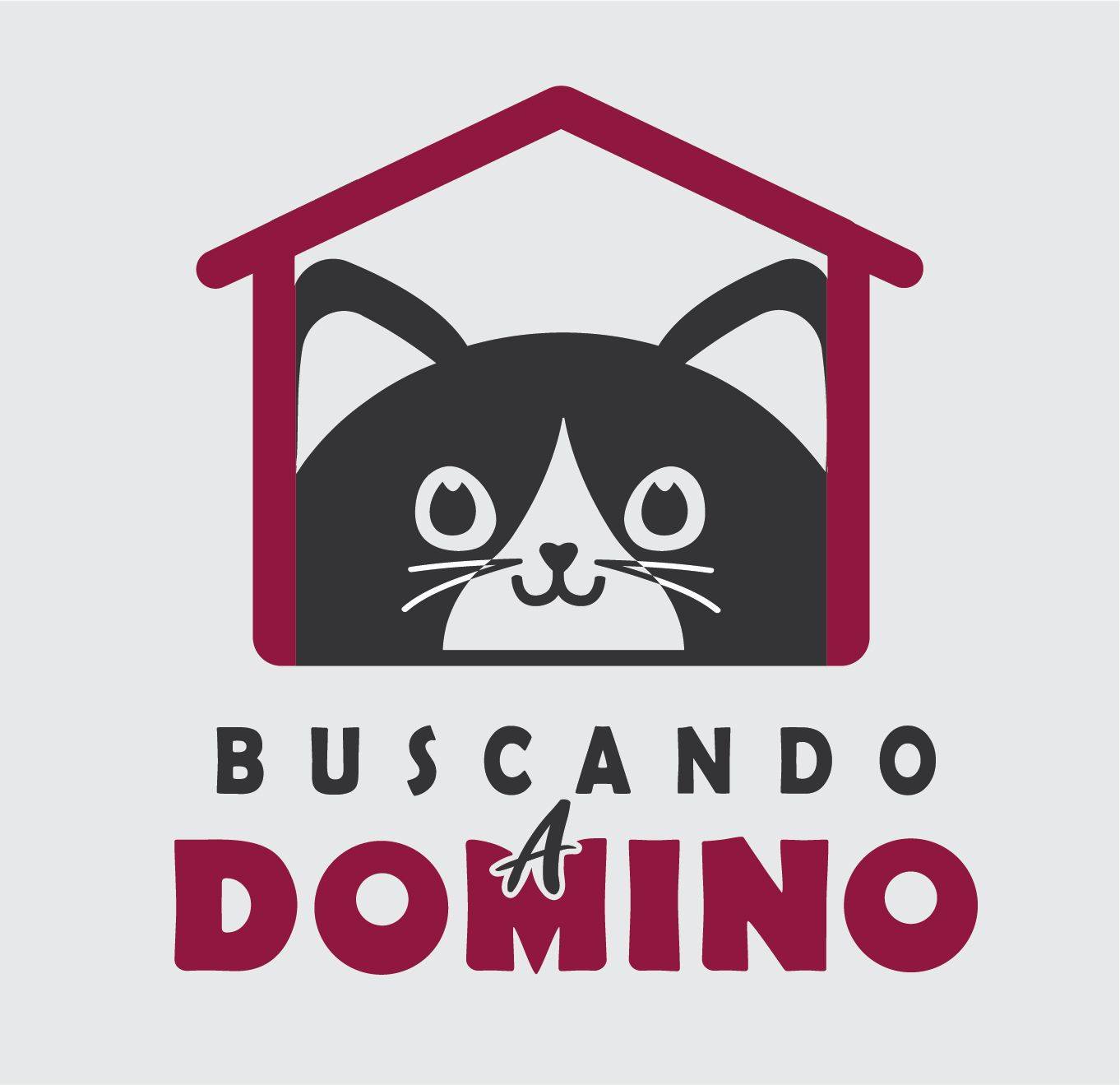 Logo Buscando a Domino AC