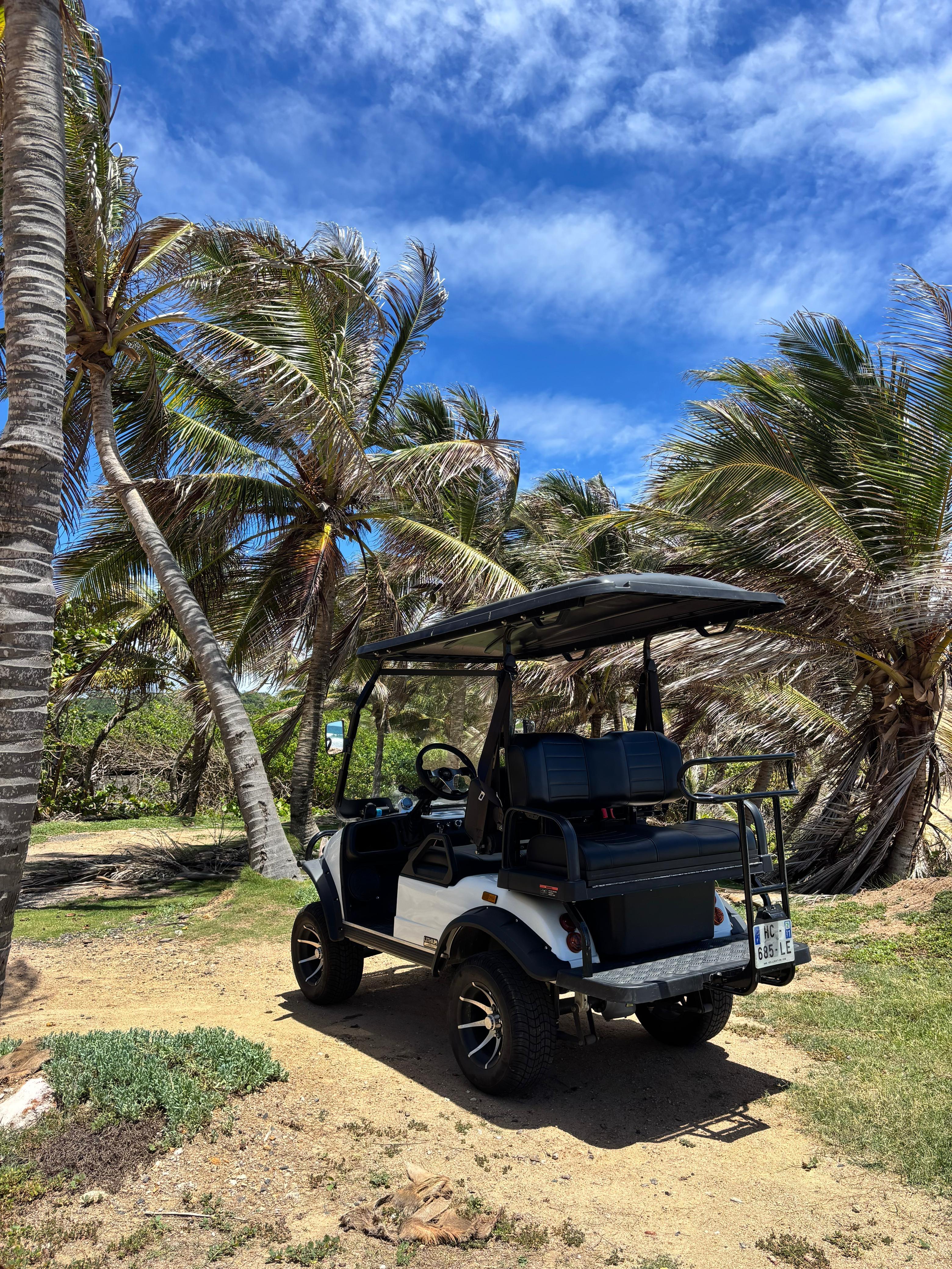 Voiturette électrique