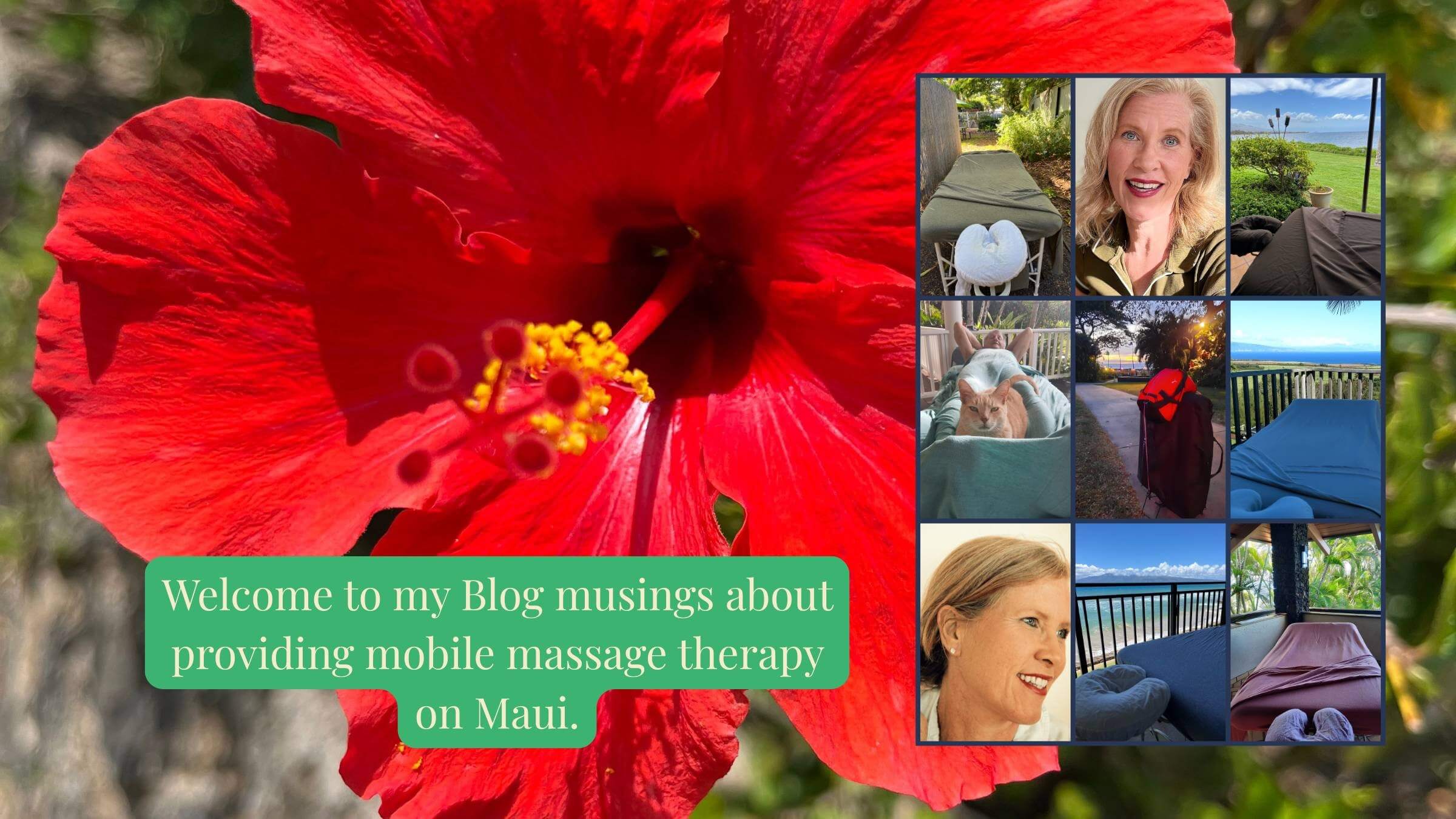 Maui massage therapy blog - tips, techniques, and a little bit of storytelling about mobile massage on Maui.