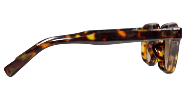 Oakanda Eyewear Professor