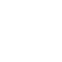 Auto Auctions logo small
