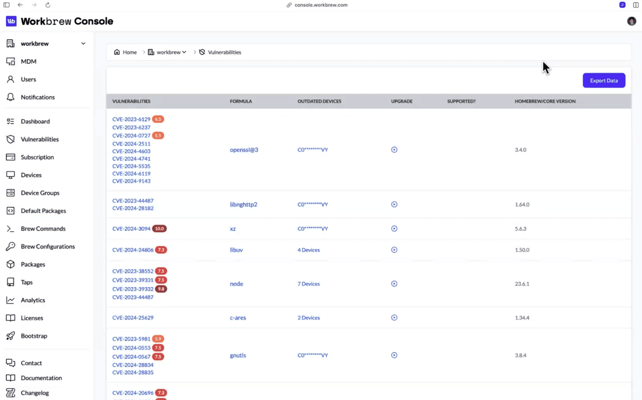 Workbrew console vulnerabilities dashboard