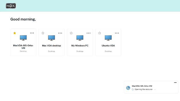 Citrix interface with Mac VDI