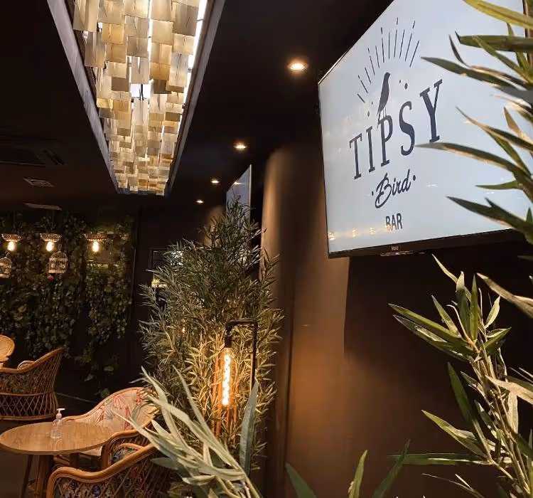 Tipsy Bird Bar, Pereira