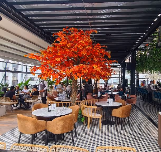 Zelva Rooftop, Pereira