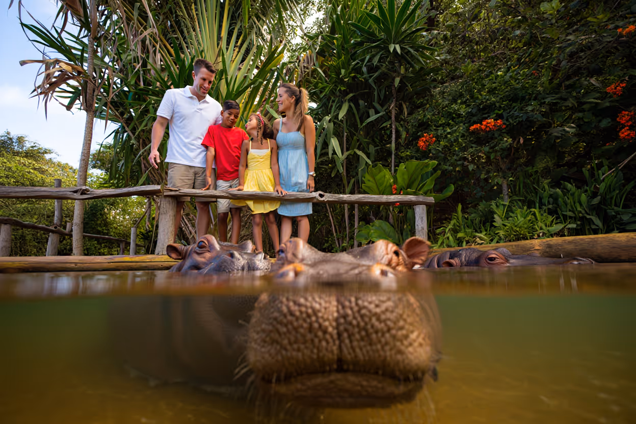 Family Travel