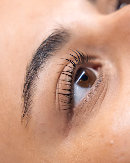 Lash lift results at Brau studio