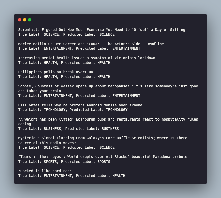 Classification model prediction output