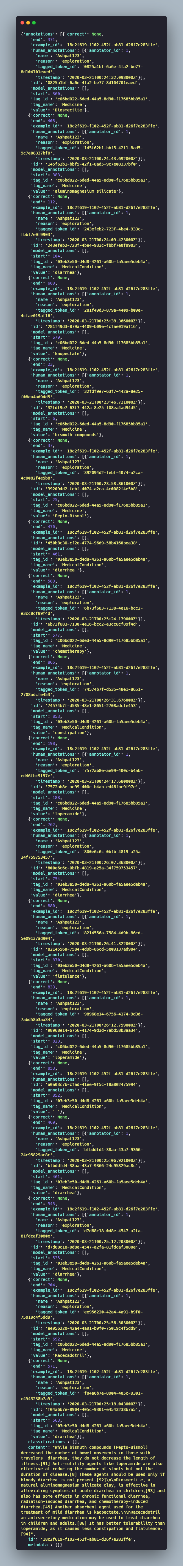 dataset annotation example output