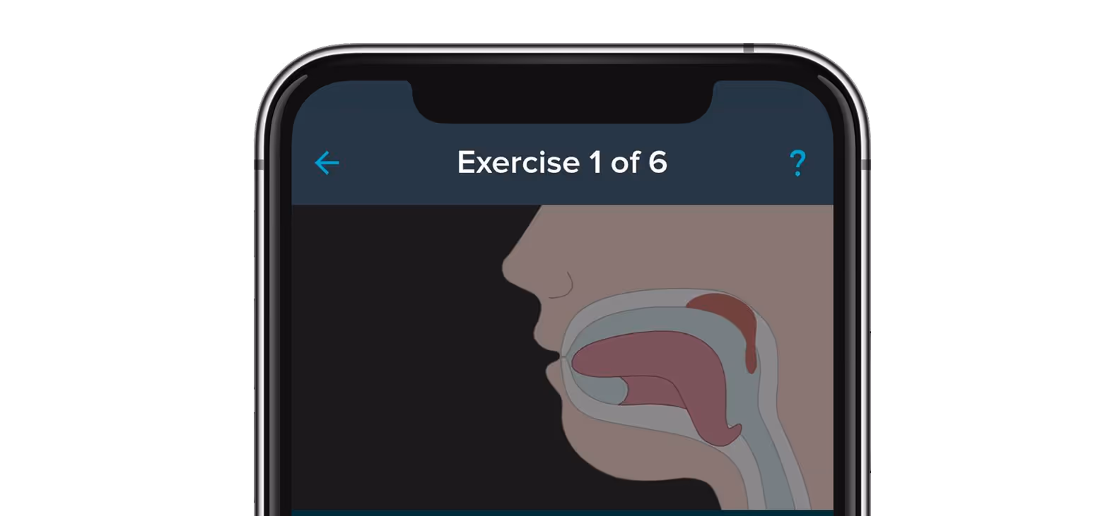 Easy-to-follow animations