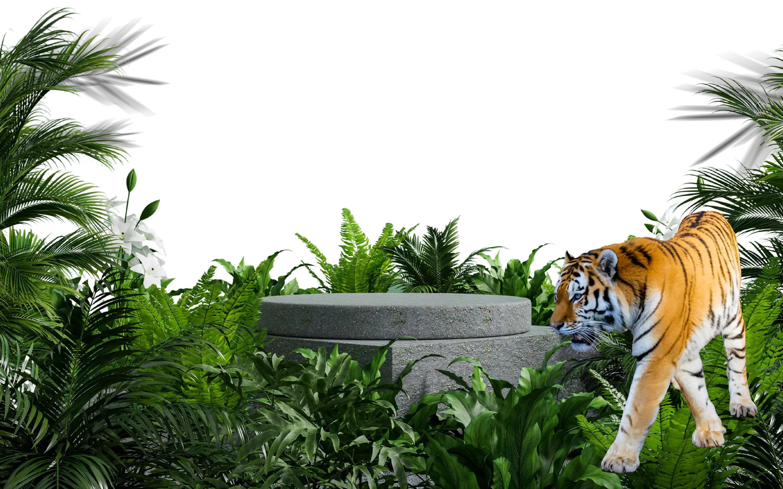 A tiger is standing in front of a stone pedestal.