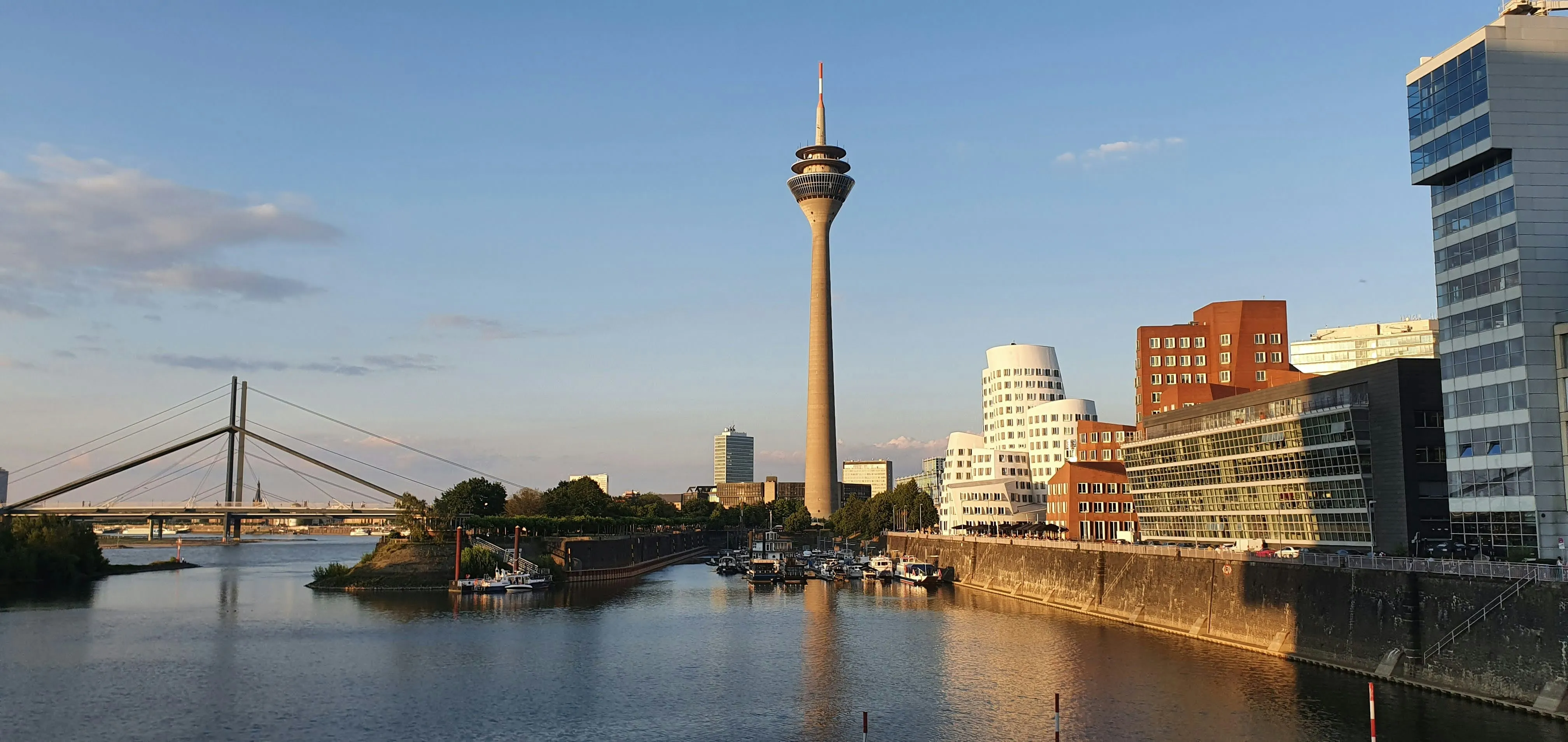 Stadt mit Fluss im Vordergrund und Hochhäusern im Hintergrund.
