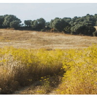 European AgriFood Co-Funding Alliance
