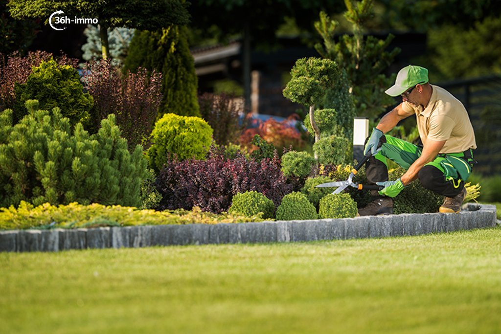 Réduction d'Impôts : maximisez vos économies avec l'entretien de votre jardin