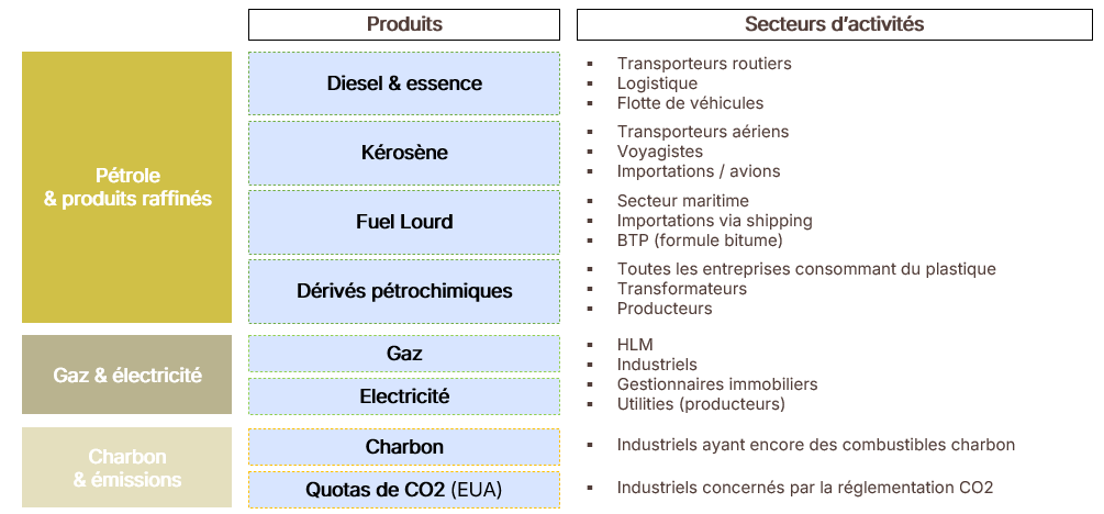 The image is a visual representation of various energy sectors, including diesel, petrol, natural gas, and electricity, and their associated activities, such as transportation, construction, and industrial consumption.Le contenu généré par l’IA peut être incorrect.