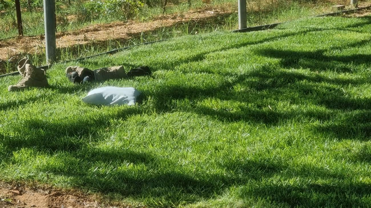 Soldiers on green grass in the farm