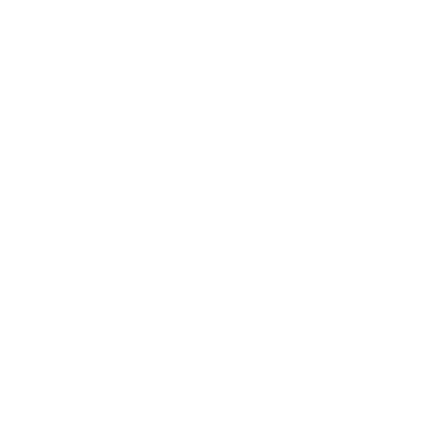 connect icon 
