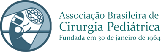 Logo CIPE no rodapé do site