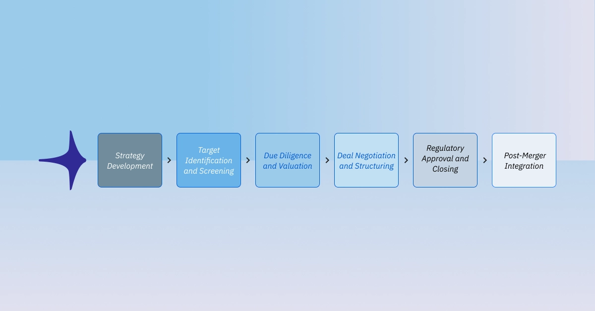 M&A lifecycle schema