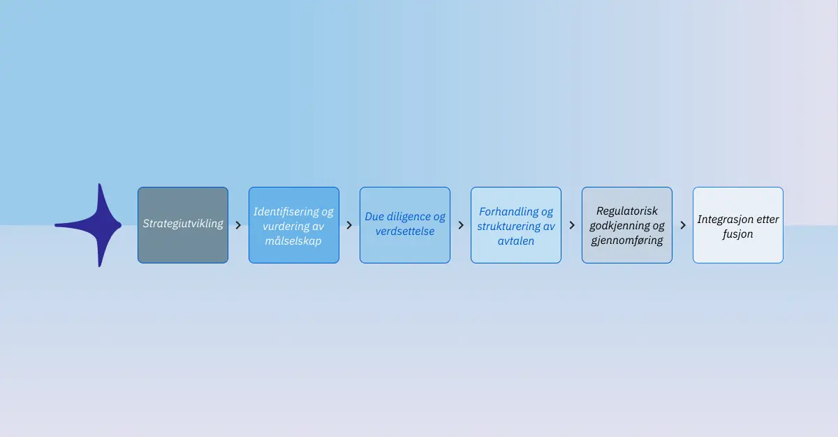 Merger & Acquisition lifecycle visual