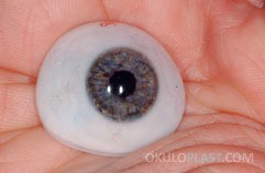 anatomija-ocnih-kapaka