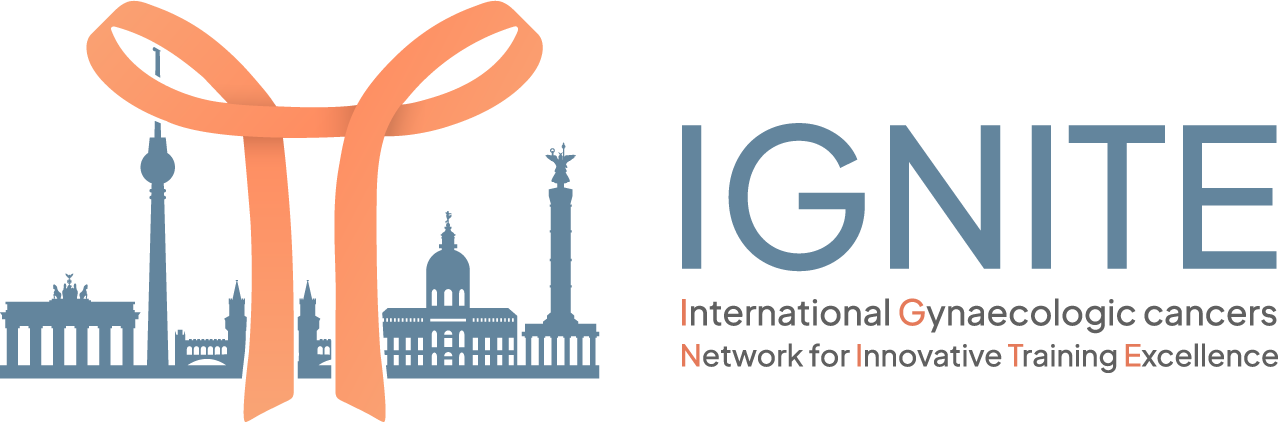 Ignite custom picture