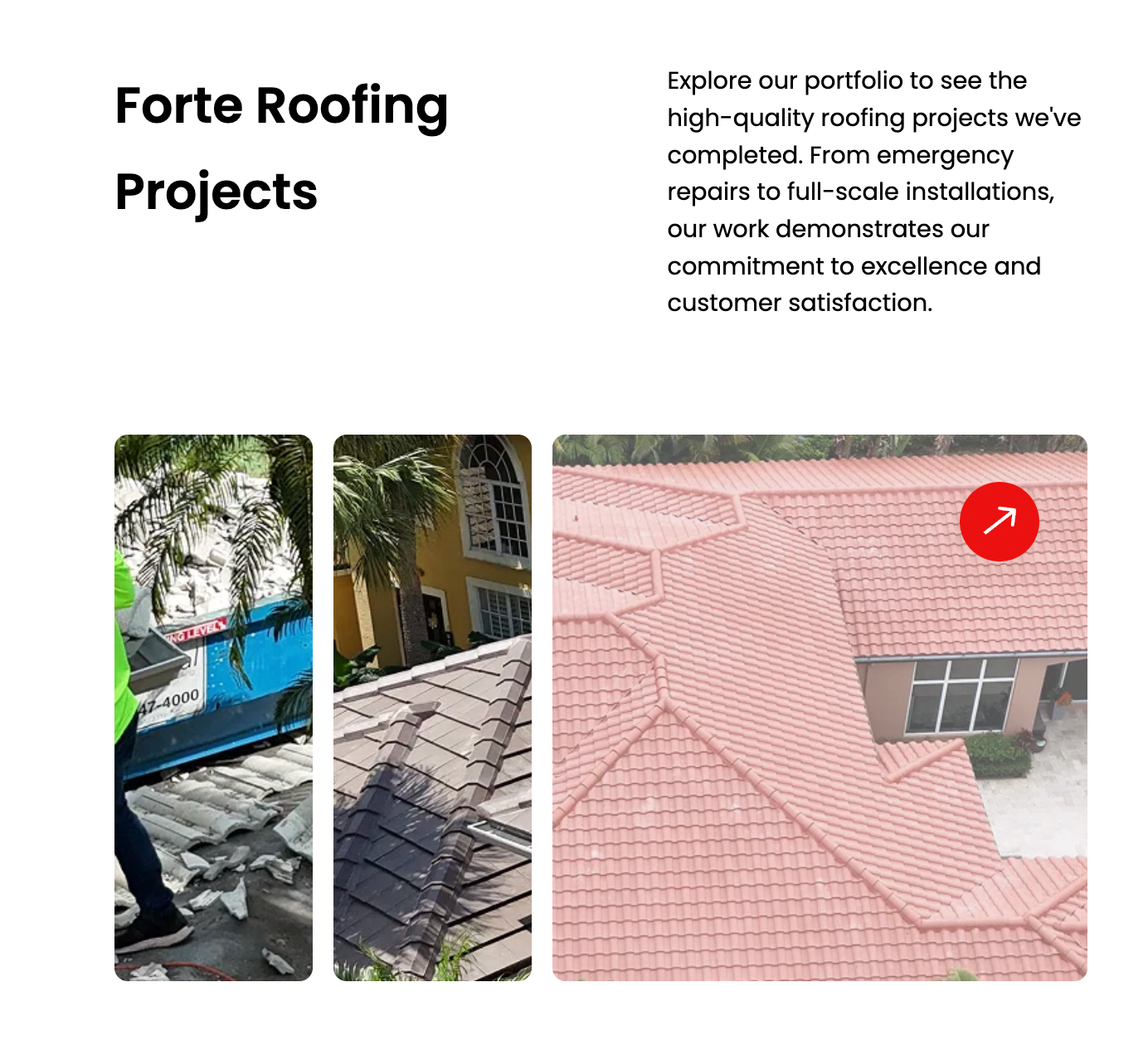 Forte roofing case studies